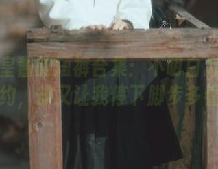 六味帝皇酱的短裤合集：不明白怎么可能这么简约，却又让我停下脚步多看几眼？