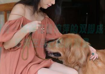 异思趣向 – 如何在看婉萍的双脚成行中,迷失在自己的脑洞里.