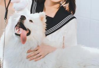 河豚抚子+比基尼=?开放式问题的高清合集,快来找答案!