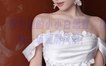 秀人网 – 图包里的小小白思宜,棉袜引发的一场观展风暴!
